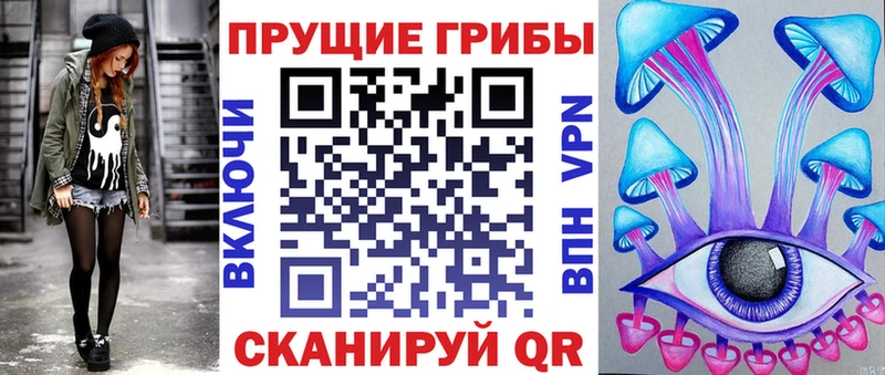 Псилоцибиновые грибы Cubensis  Удомля 
