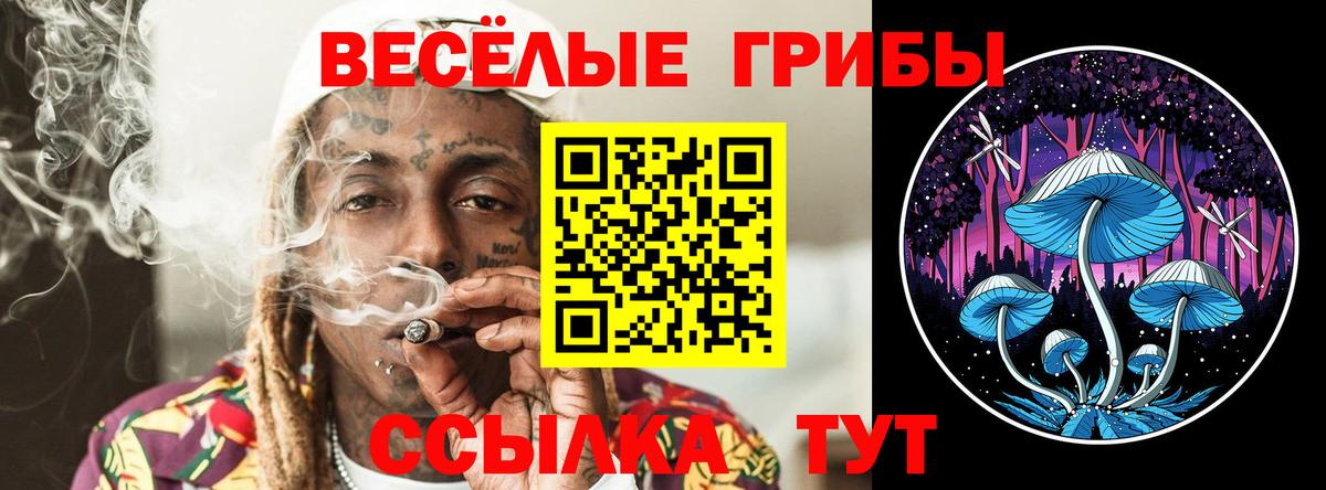 Псилоцибиновые грибы GOLDEN TEACHER Удомля