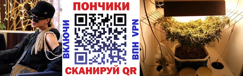 Каннабис сатива  что такое наркотик  Удомля 
